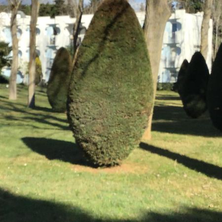 T3 Les Peupliers Proche Pasino Et Mer Apartamento La Grande-Motte Exterior foto