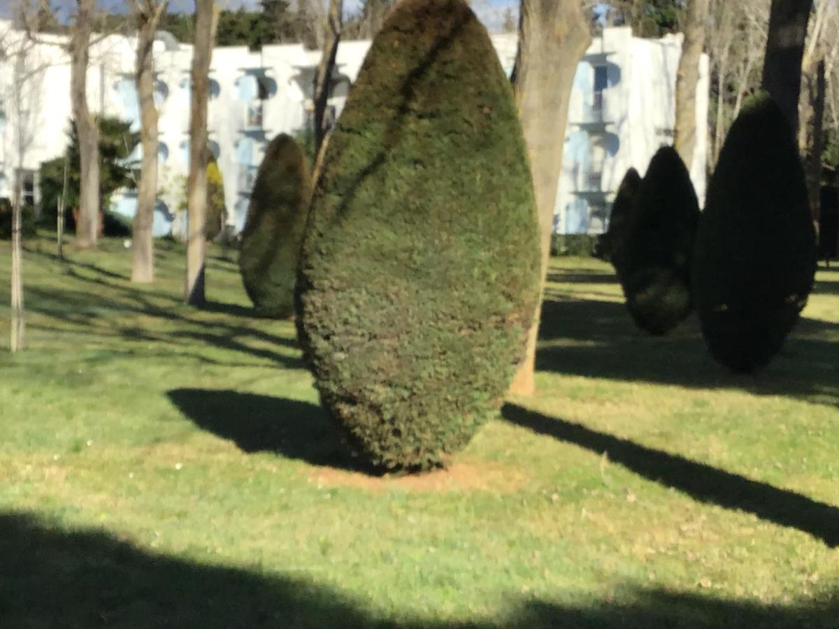 T3 Les Peupliers Proche Pasino Et Mer Apartamento La Grande-Motte Exterior foto
