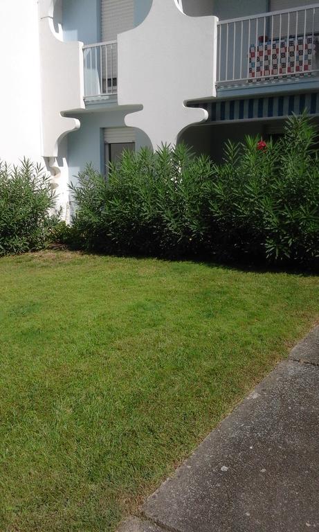 T3 Les Peupliers Proche Pasino Et Mer Apartamento La Grande-Motte Exterior foto